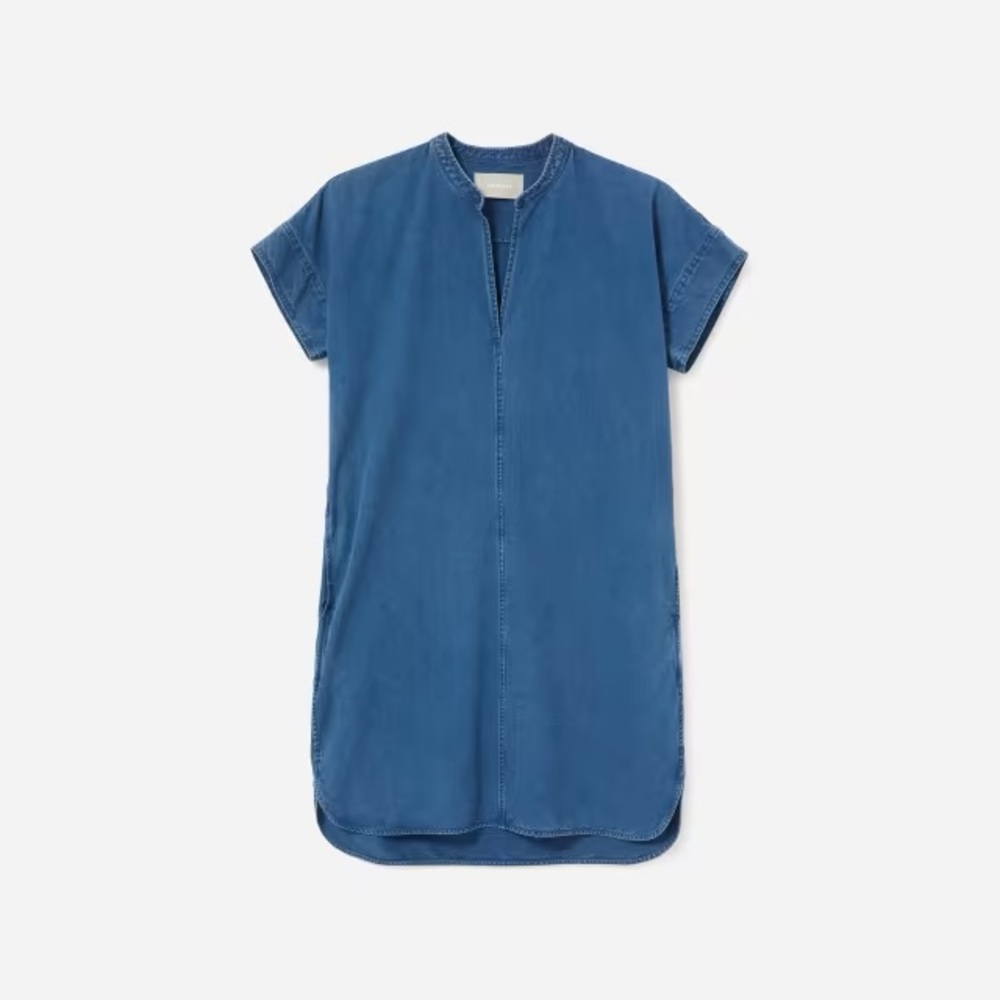 Everlane Denim Dress